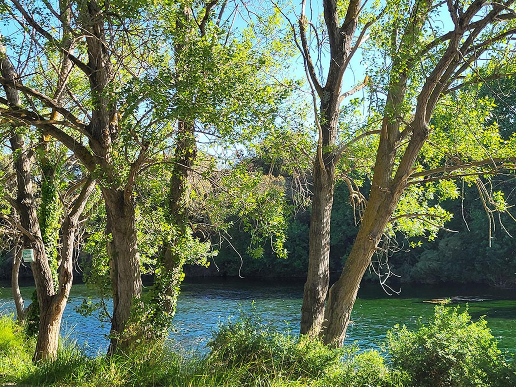 Camping Le Val De Cesse Mirepeisset Exteriör bild